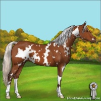 Horse Color:White Spotted Silver Buckskin 