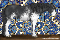 Horse Color:White Spotted Black 