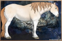 Horse Color:White Spotted Buckskin Pearl Sabino Rabicano