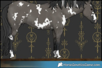 Horse Color:White Spotted Grullo