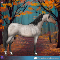 Horse Color:Brown Roan Dun 