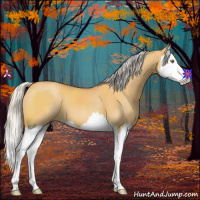 Horse Color:Silver Buckskin Dun Splash 