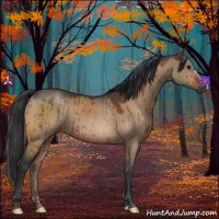 Horse Color:Bay Dun Brindle 