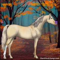 Horse Color:Palomino Dun 