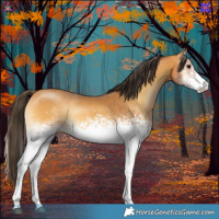 Horse Color:White Spotted Buckskin Onyx 