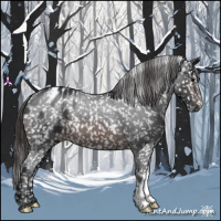 Horse Color:Brown Appaloosa 