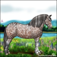 Horse Color:Bay Snowflake Varnish 