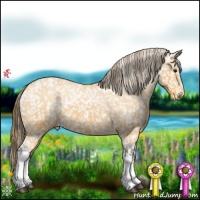 Horse Color:Buckskin Snowflake Varnish