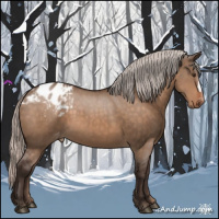 Horse Color:Silver Brown Dun Appaloosa 