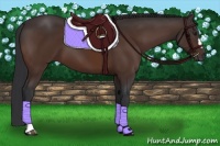 Horse Color:Brown 
