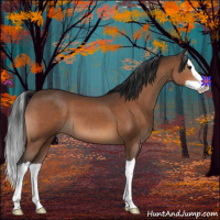 Horse Color:Brown Splash