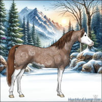 Horse Color:Chestnut Ice Splash 