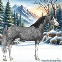 Horse Color:Black Ice Sabino Splash 