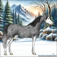 Horse Color:Black Ice Sabino Splash
