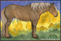 Horse Color:Chocolate Palomino Roan 