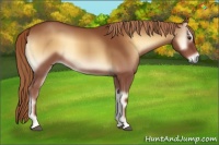 Horse Color:Red Onyx 