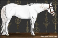 Horse Color:White Spotted Chocolate Silver Brown Rabicano 