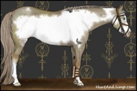 Horse Color:Chocolate Palomino Dun Frame Varnish 