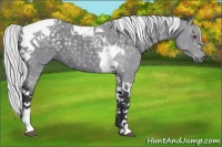 Horse Color:Silver Black Chinchilla Tobiano 