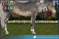 Horse Color:Silver Smoky Black Splash Tobiano Varnish 
