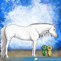 Horse Color:Silver Black Splash Tobiano Appaloosa 