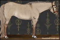 Horse Color:Liver Red Dun Brindle 