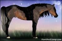 Horse Color:Void Silver Smoky Blue Roan Splash Tobiano Varnish Rabicano 