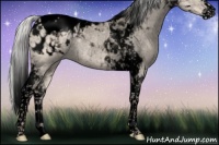 Horse Color:Void Silver Smoky Creme Splash Tobiano Appaloosa Rabicano 