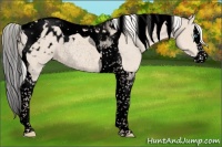Horse Color:Void Silver Smoky Creme Splash Tobiano Appaloosa Rabicano 