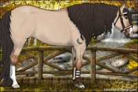 Horse Color:Brown Roan Dun 