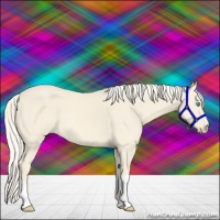 Horse Color:Cremello 