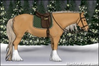 Horse Color:Palomino 