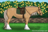 Horse Color:Palomino 
