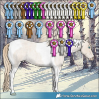 Horse Color:Smoky Creme Roan Tobiano 