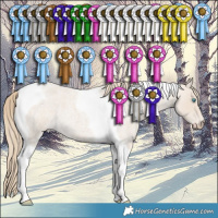 Horse Color:Smoky Creme Roan Tobiano 