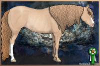 Horse Color:Gold Champagne Rabicano 