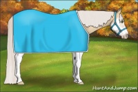 Horse Color:Silver Classic Champagne Dun Splash Frame 