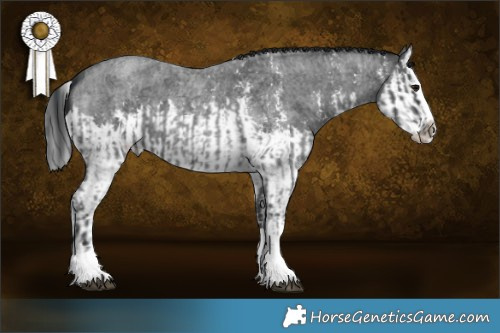 Horse Color:Blue Roan Sabino Splash  and Blue Roan Sabino Splash 