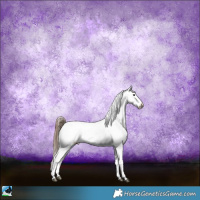 Horse Color:Black Sabino Near Fewspot Rabicano 