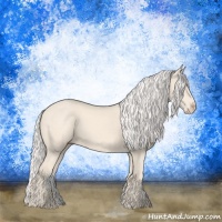 Horse Color:Cremello 