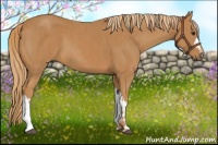 Horse Color:Chestnut  and Chestnut 
