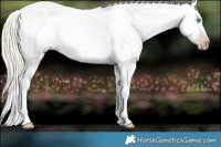 Horse Color:Gray Silver Amber Cream Champagne Roan Dun Splash Tobiano Frame Appaloosa Rabicano 