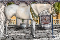 Horse Color:Silver Amber Champagne Roan Dun Splash Tobiano Frame Appaloosa Rabicano 