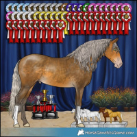 Horse Color:Gray Silver Sable Cream Champagne