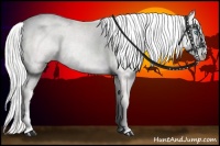 Horse Color:Silver Perlino 