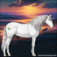 Horse Color:Perlino 