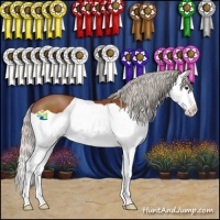 Horse Color:Silver Bay Splash 