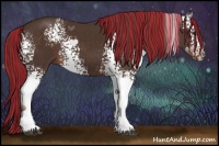 Horse Color:Painted White Spotted Liver Chestnut 