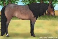 Horse Color:Brown Roan Sabino 