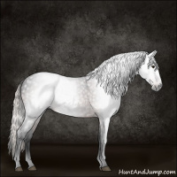 Horse Color:Gray Void Silver Bay Tobiano 